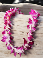 single purple orchid lei